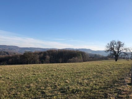 Fotografia z Barbara Schober na trase