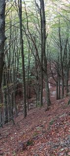 Fotografija s spletne strani Gabriele Cucchi na poti
