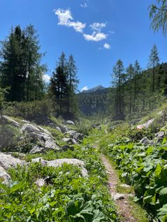 Photo de Michael Bauer le long du parcours