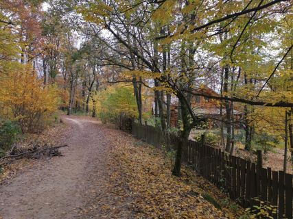 Fotografia z Ferenc Kiss na trase