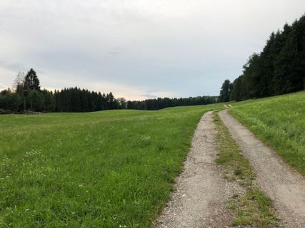 Zdjęcie z Andreas E. Neuhold wzdłuż trasy
