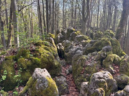 Foto de Norbert Herbig a lo largo del recorrido