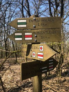 Zdjęcie z Gergő Pavlik wzdłuż trasy