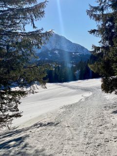 Kuva osoitteesta Stefan Sunkler matkan varrella