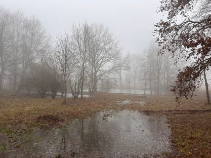 Fotografija s spletne strani Norbert Herbig na poti