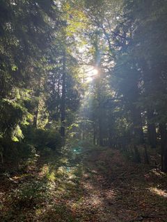 Foto von krtwss entlang der Tour