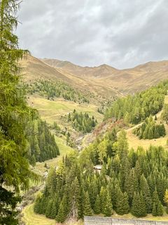 Foto von Nicole Hundertmark entlang der Tour