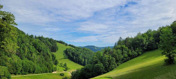 Fotografija s spletne strani Nicky na poti