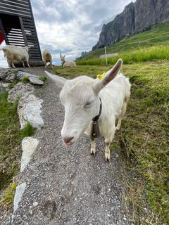 Photo de GabrielSR76 le long du parcours