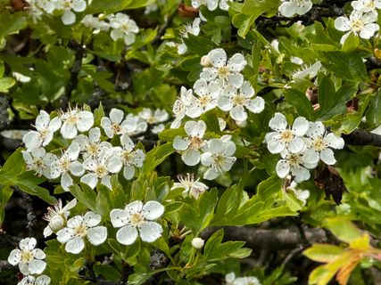 Foto von Norbert Herbig entlang der Tour
