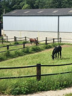 Foto von Kellner Heidi entlang der Tour