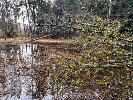 Photo de Norbert Herbig le long du parcours