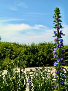 Photo de Kellner Heidi le long du parcours