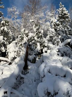Foto de Dragana Martinovic a lo largo del recorrido