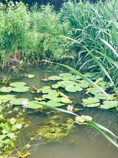 Fotografia z Kellner Heidi na trase