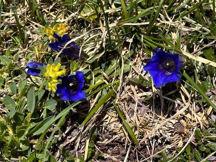 Photo de Norbert Herbig le long du parcours