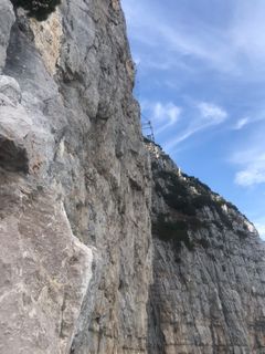 Fotografija s spletne strani Heikoala na poti