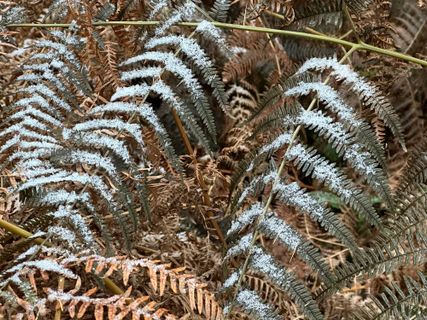 Foto von Norbert Herbig entlang der Tour