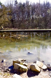 Foto de Kellner Heidi a lo largo del recorrido