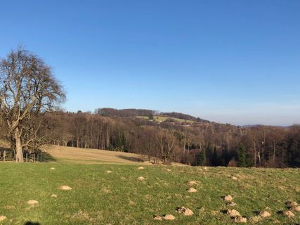 Fotografia z Barbara Schober na trase