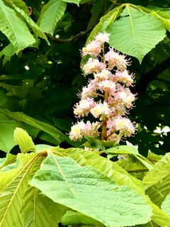 Foto de Kellner Heidi a lo largo del recorrido