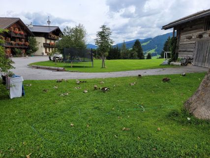 Foto da mmecki lungo il tour