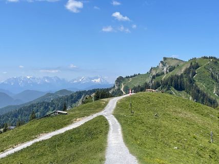 Foto von Simone Maier entlang der Tour