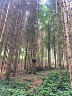 Zdjęcie z A wzdłuż trasy