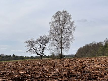 Zdjęcie z Norbert Herbig wzdłuż trasy