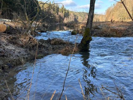 Foto de Norbert Herbig a lo largo del recorrido