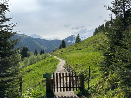 Photo de Freddy Taal le long du parcours