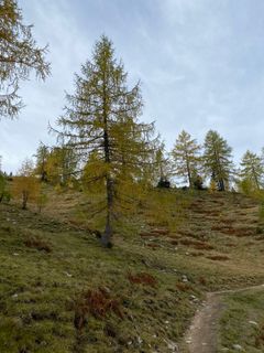 Foto von Stefan Sunkler entlang der Tour
