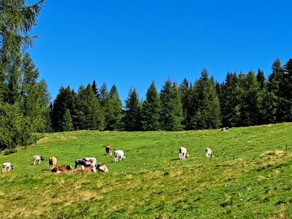 Photo de Christian Lerchster le long du parcours