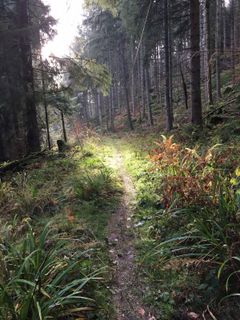 Photo de Ralf Umminger le long du parcours