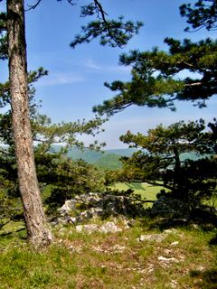 Fotografie z Kellner Heidi na trase