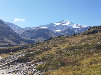 Foto von Brigitte entlang der Tour