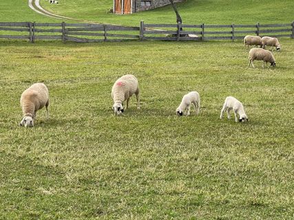 Fotografie z Norbert Herbig na trase