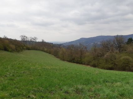 Foto von mmecki entlang der Tour