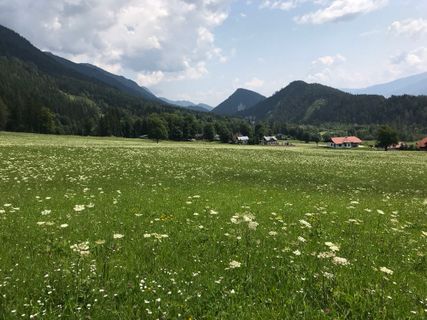 Foto von Paul Verkaik entlang der Tour