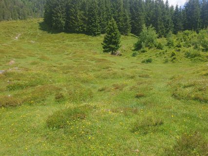 Foto von GAdamec entlang der Tour