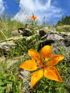 Photo de Toni Lerda le long du parcours