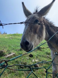 Foto von Ugo Rocca entlang der Tour