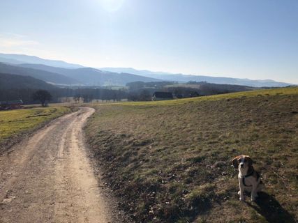 Fotografia z Barbara Schober na trase