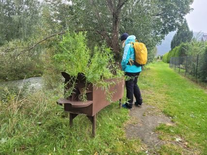 Foto von mmecki entlang der Tour