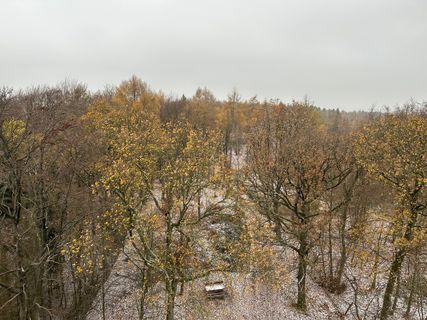 Fotografija s spletne strani Norbert Herbig na poti