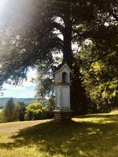 Foto von Kellner Heidi entlang der Tour