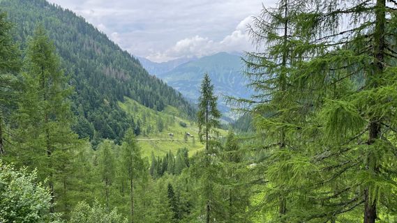 Fotografia z Dominik Günther na trase