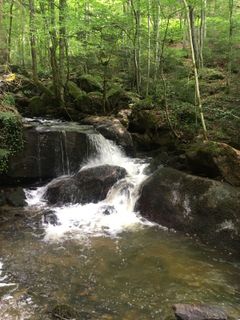 Zdjęcie z A wzdłuż trasy