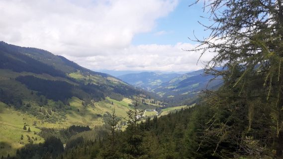 Fotografija s spletne strani Ralf Pfannschmidt na poti