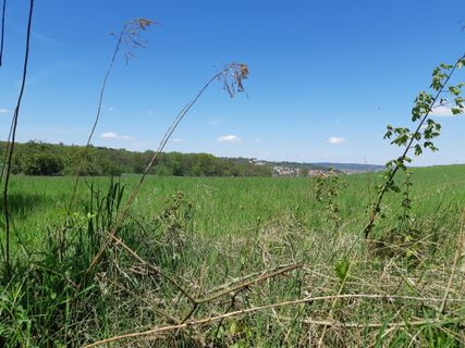 Foto de mmecki a lo largo del recorrido